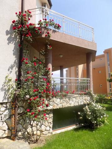 Фотографии Гостевой дом Zenith Guest House г. Созополь (Болгария) №3 Фото Гостевой дом Zenith Guest House г. Созополь 3