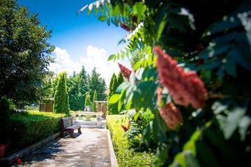 Фотографии Курортные отели Arkutino Family Resort г. Созополь (Болгария) №2 Фото Курортные отели Arkutino Family Resort г. Созополь 2