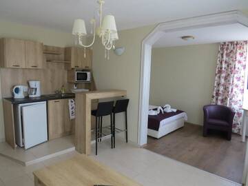 Фото номера Номер-студио с балконом Отель Family Hotel Sofi г. Созополь 5